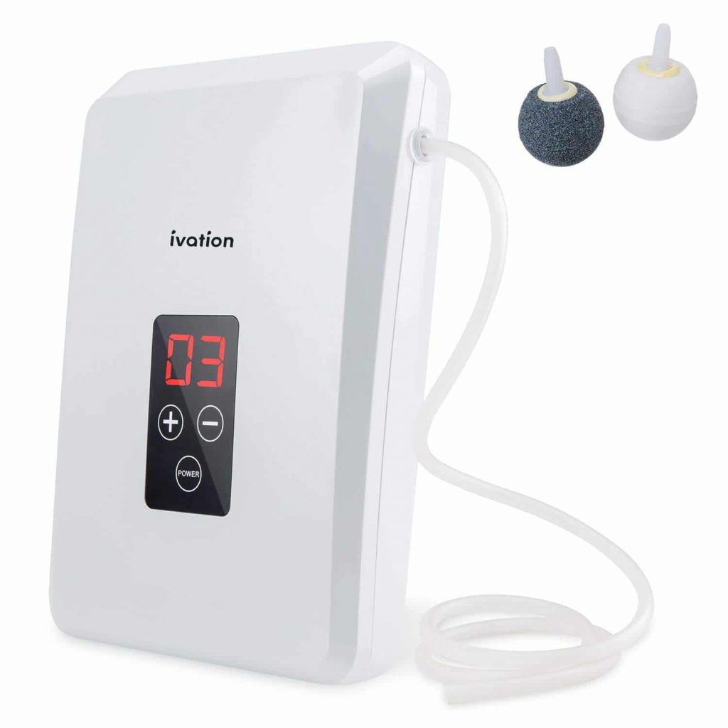 Top 10 Best Portable Ozone Machines in 2021 Reviews | Buyer's Guide